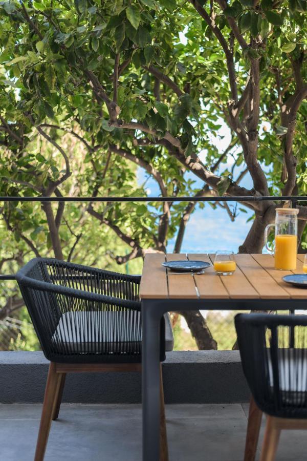 Proche Monaco, Vue Mer, Acces Plage Et Jardin Privatif Saint-Antoine  Extérieur photo